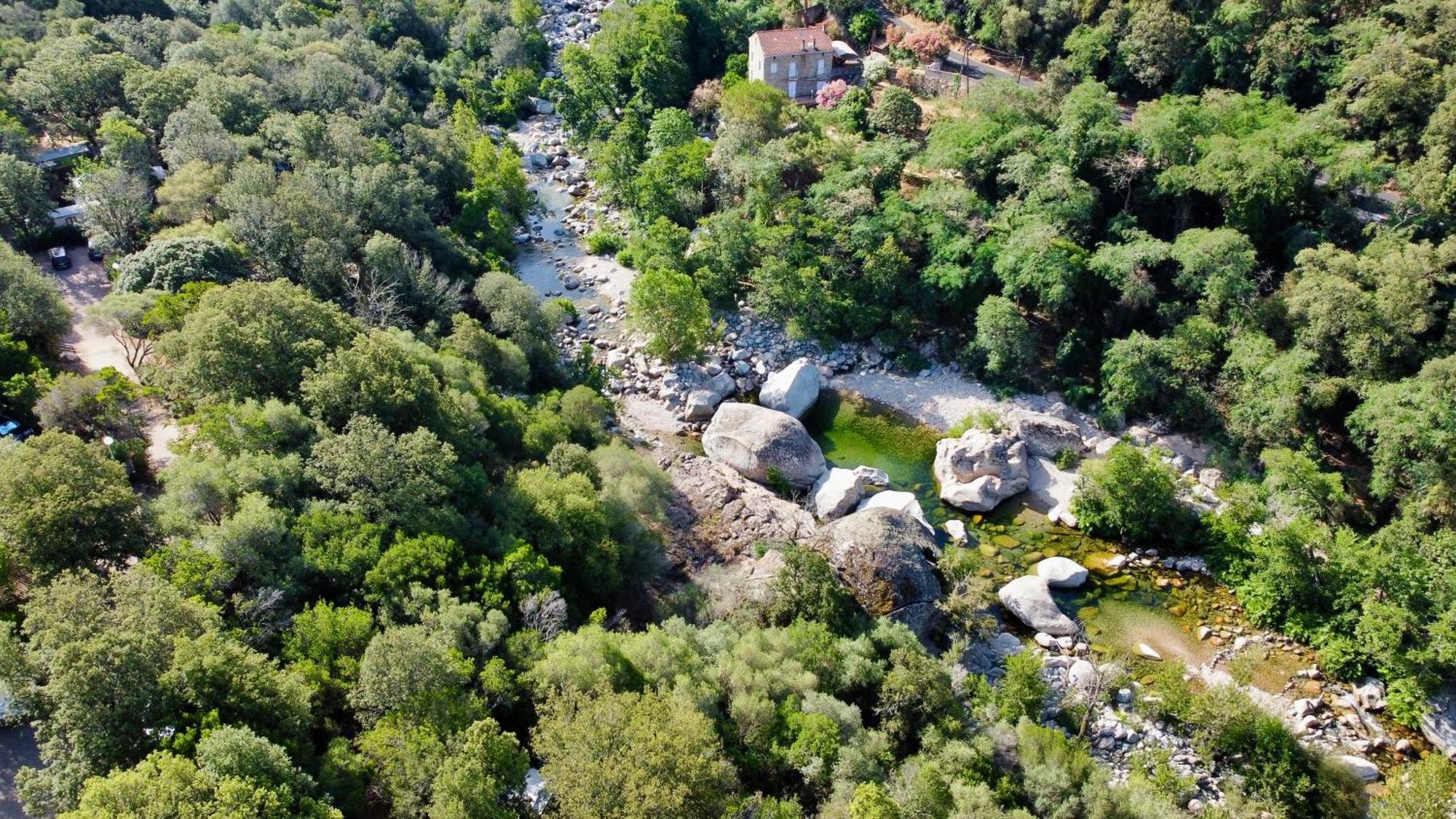 Camping Les Oliviers Porto  Bagian luar foto