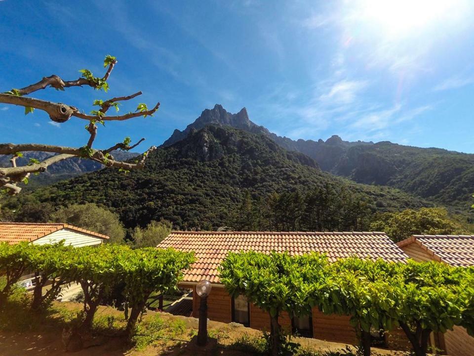 Camping Les Oliviers Porto  Bagian luar foto